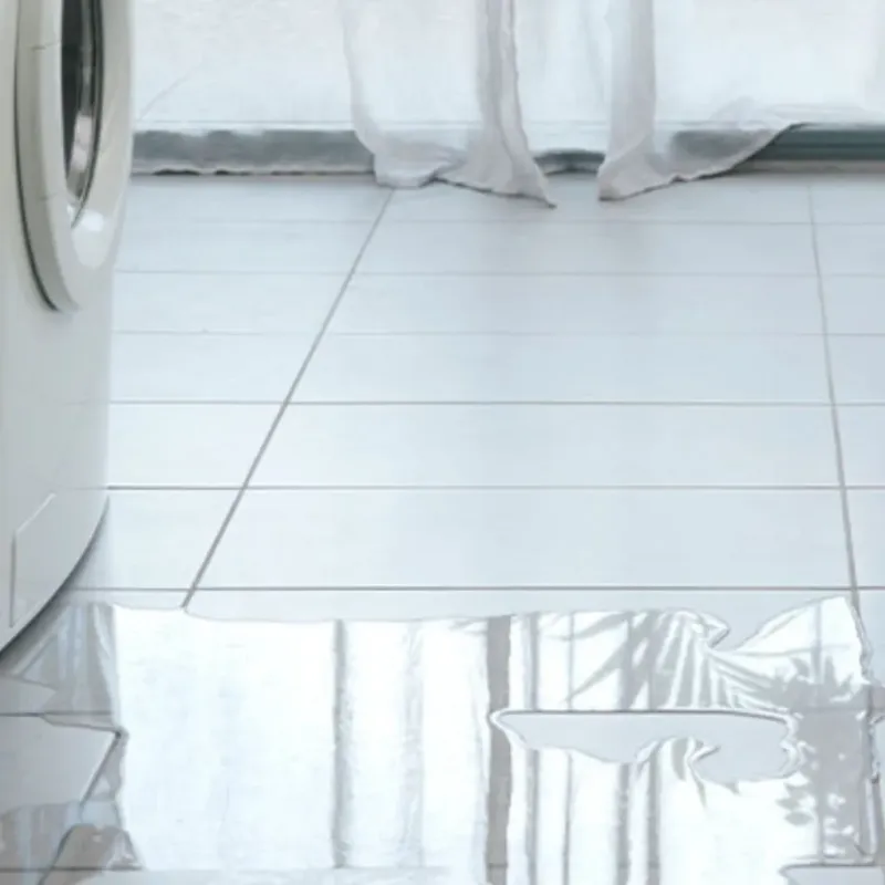 Appliance Leak Cleanup in Clark County, WI