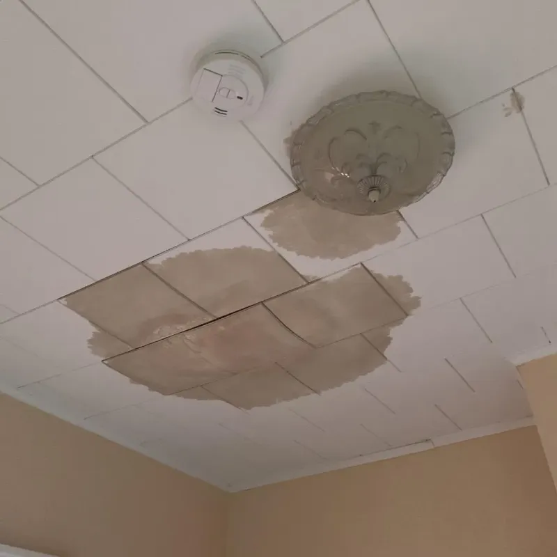 Ceiling Water Damage Repair in Clark County, WI